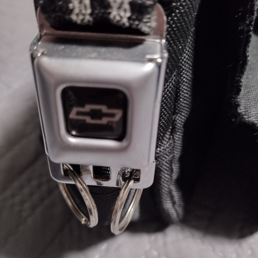 Buckle Down - image 4